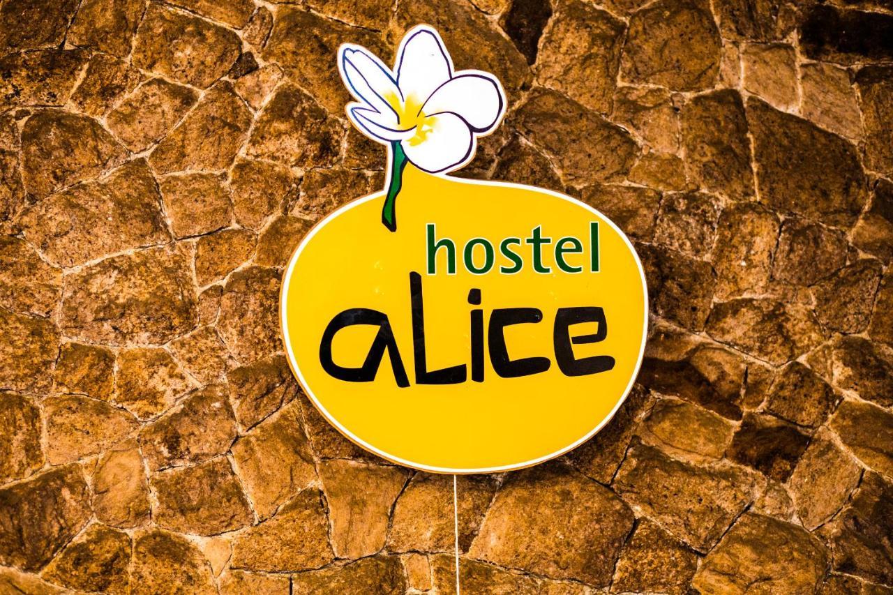Hostel Alice E Padoca Vegan Сан-Пауло Экстерьер фото